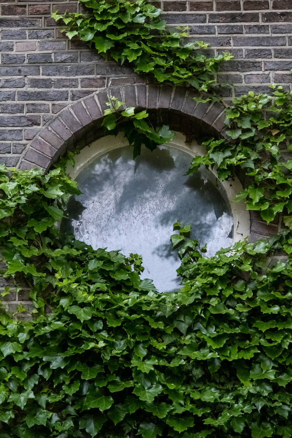 Amsterdam gallery cover